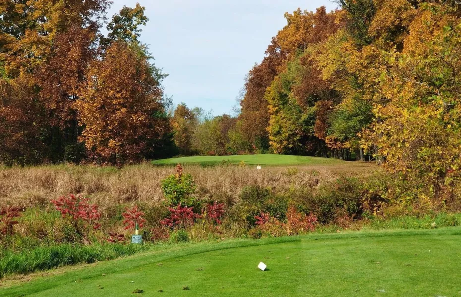 Golf Player